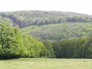 Beňadikovce